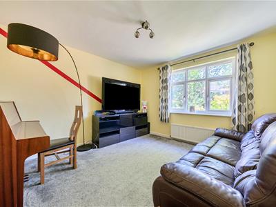 Picture 17